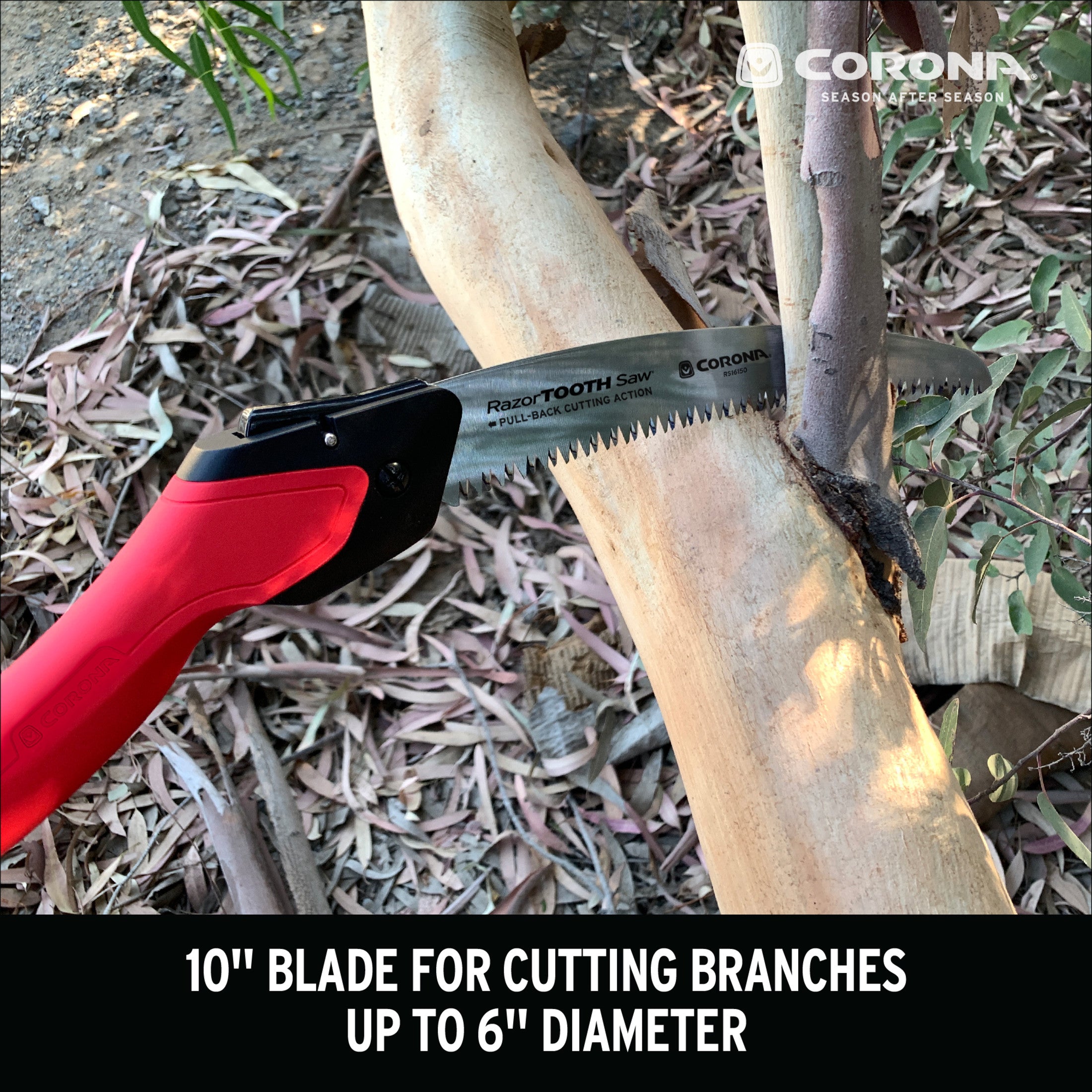 RazorTOOTH Saw® Folding Pruning Saw, 10 in. Blade