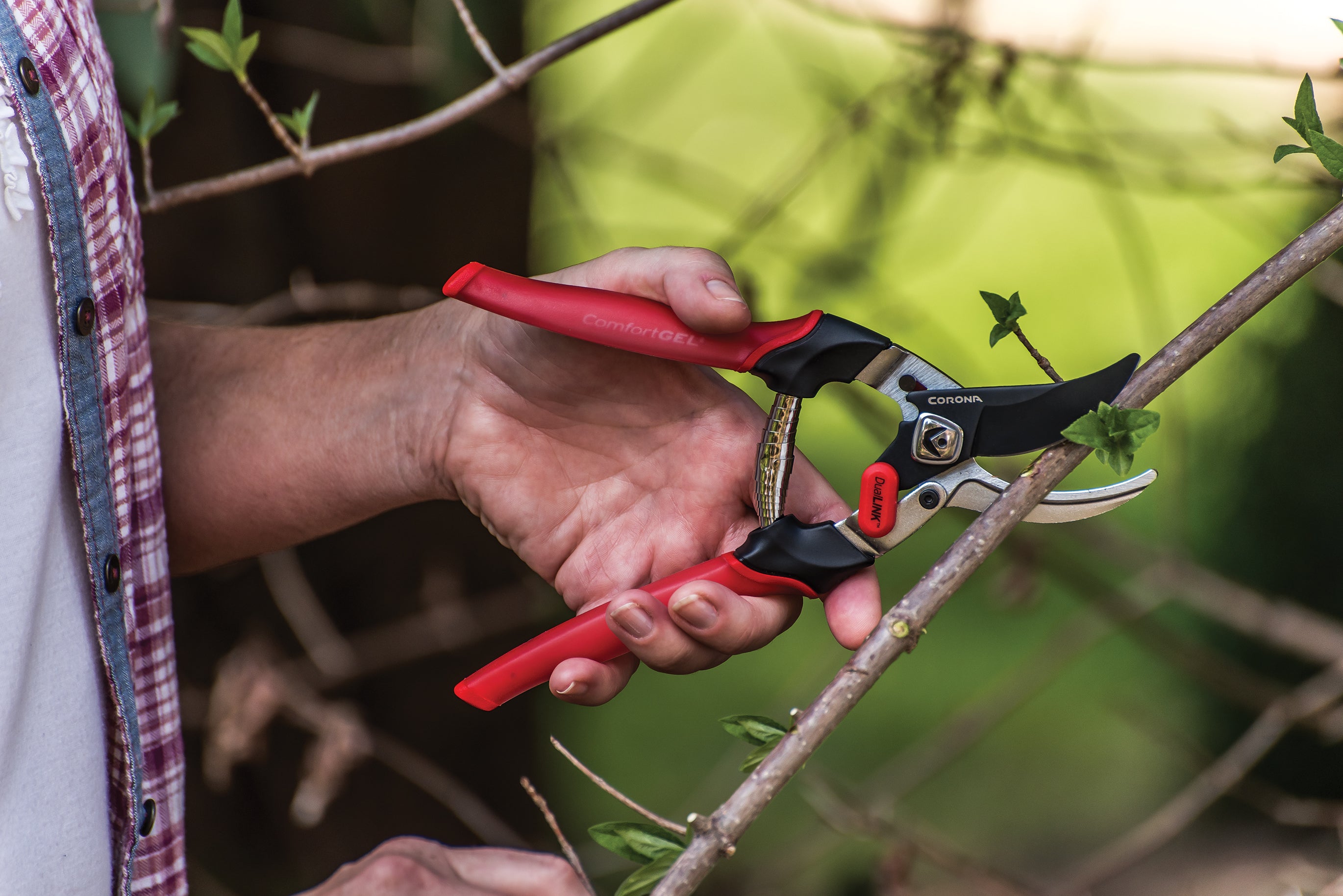 Pruning tools