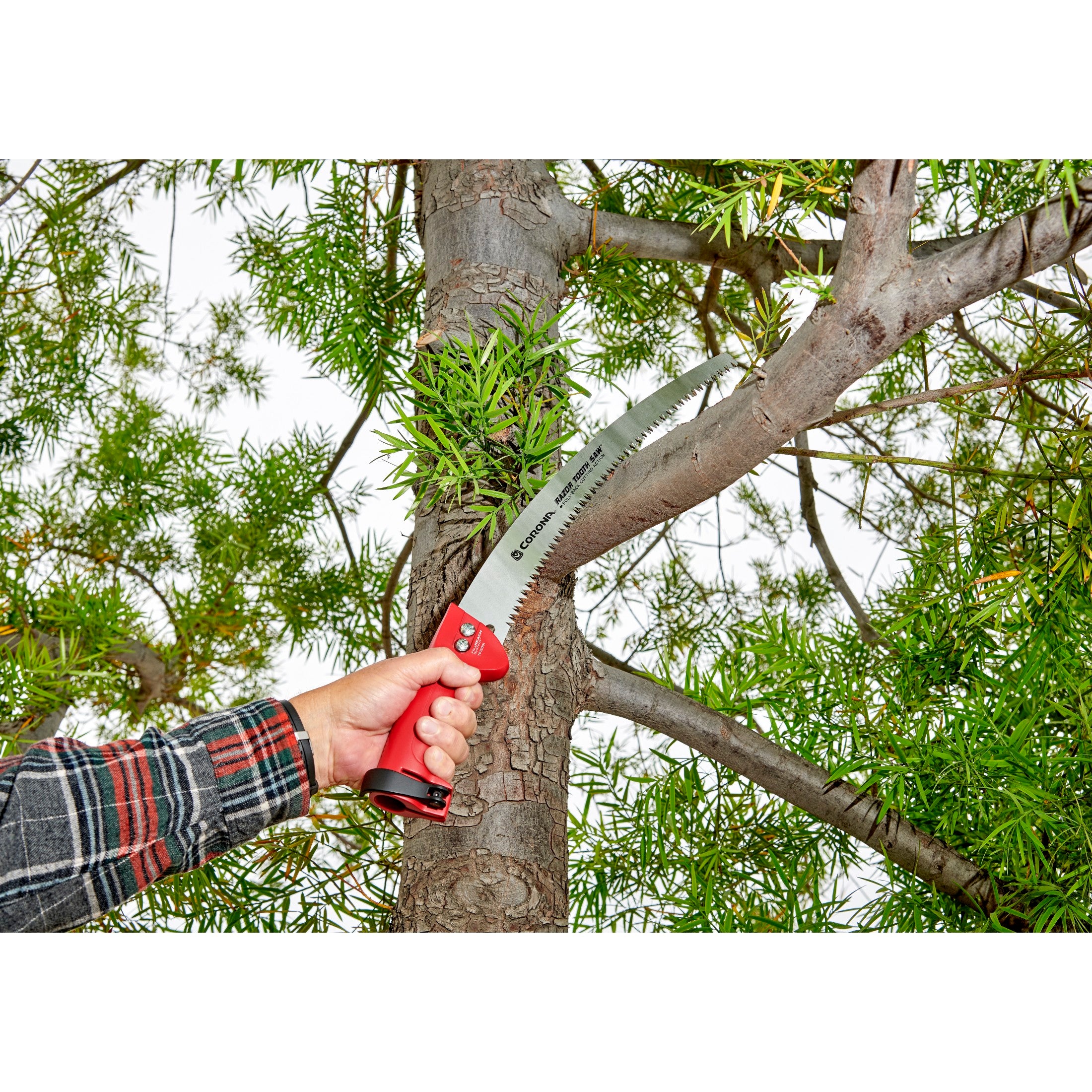 FlexREACH System™ Detachable RazorTOOTH Saw®