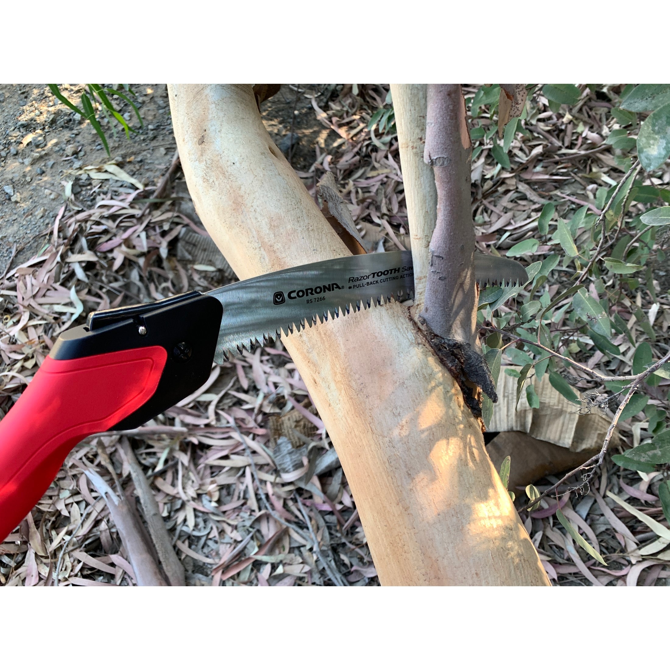 RazorTOOTH Saw® Folding Pruning Saw, 10 in. Blade