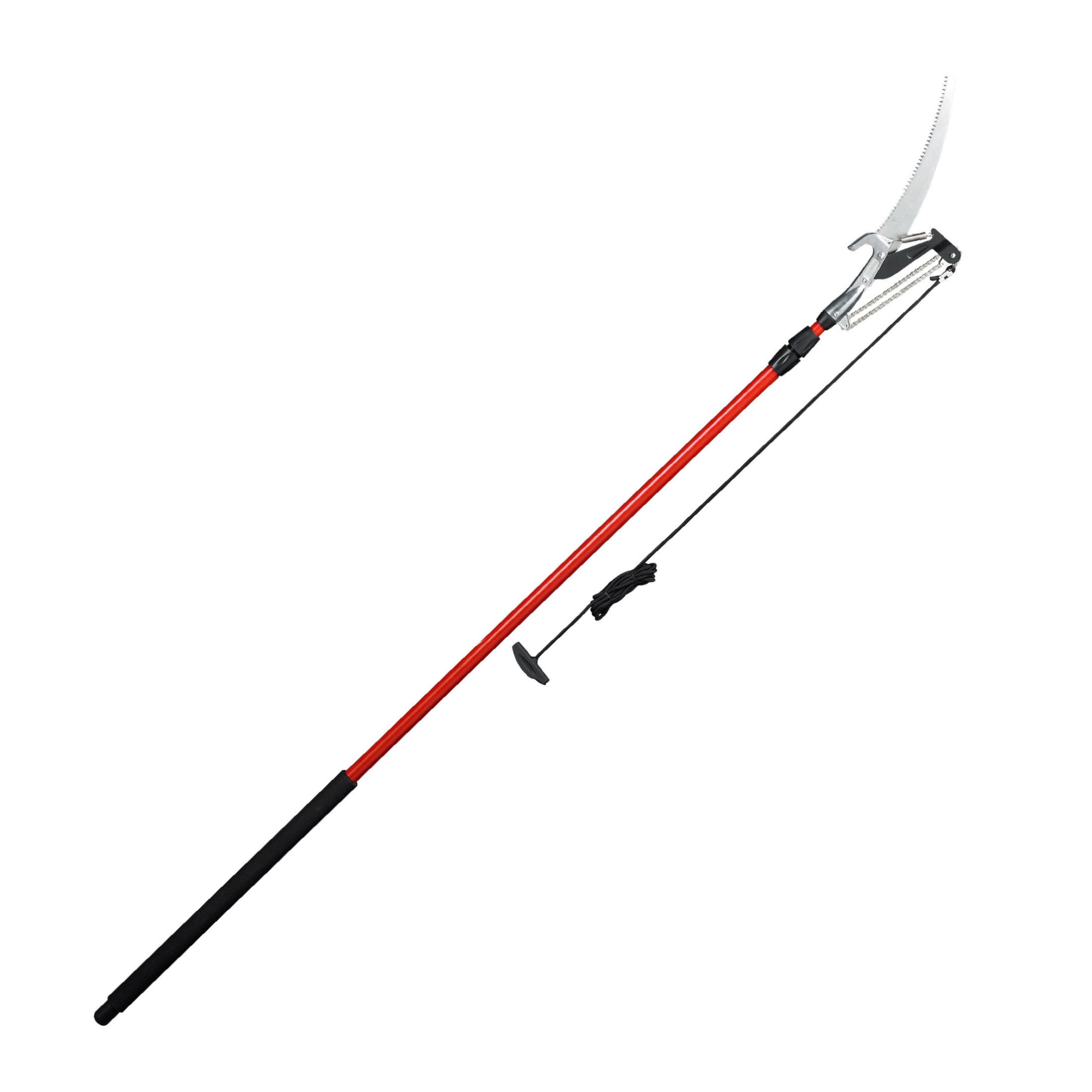 Professional Tree Pruner with RazorTOOTH Saw® Blade, 16 ft. Pole
