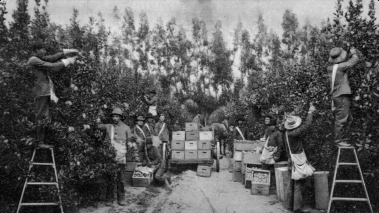 Corona history