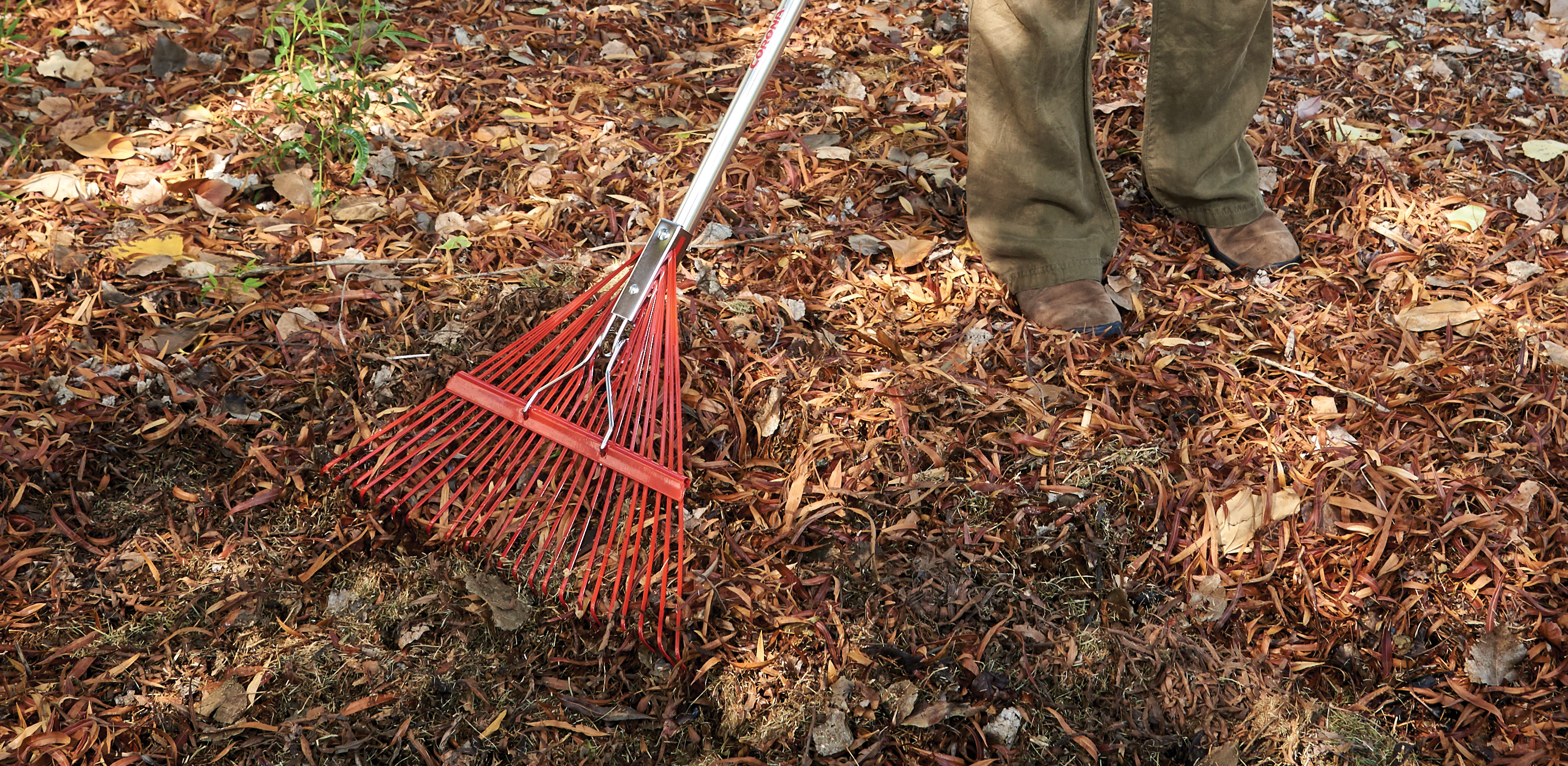 Rakes
