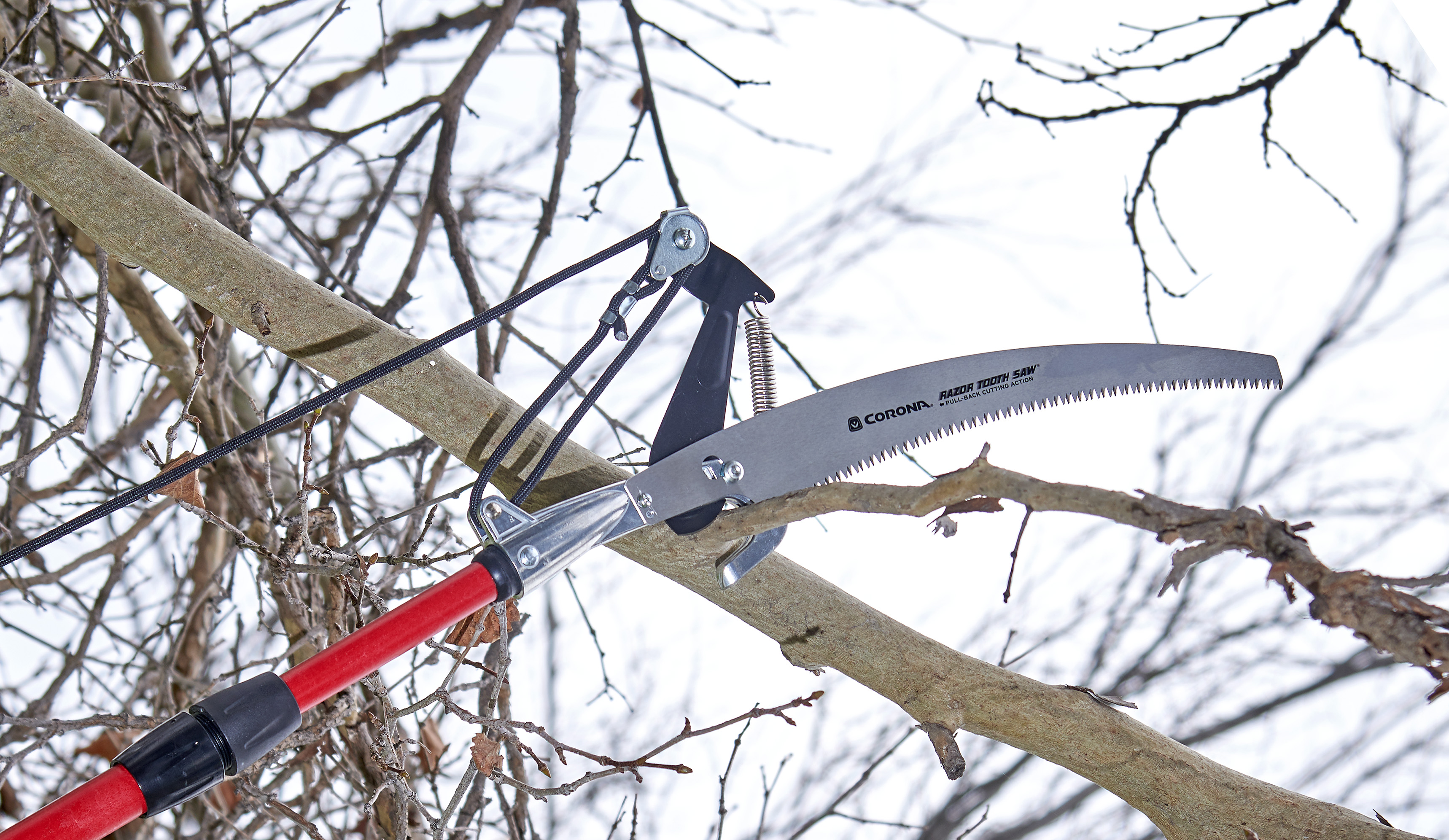 Tree Pruners